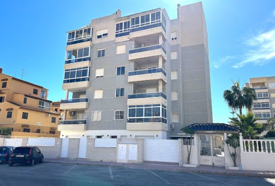 ground-floor - Új építés - Torrevieja - Torrevieja