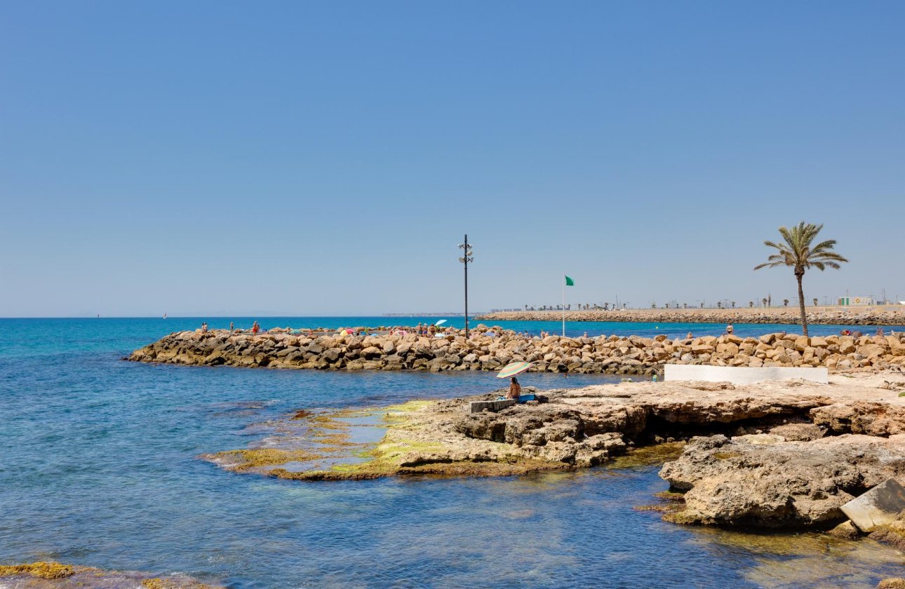 Használt ingatlanok - Apartamento -
Torrevieja - Parque de Las Naciones