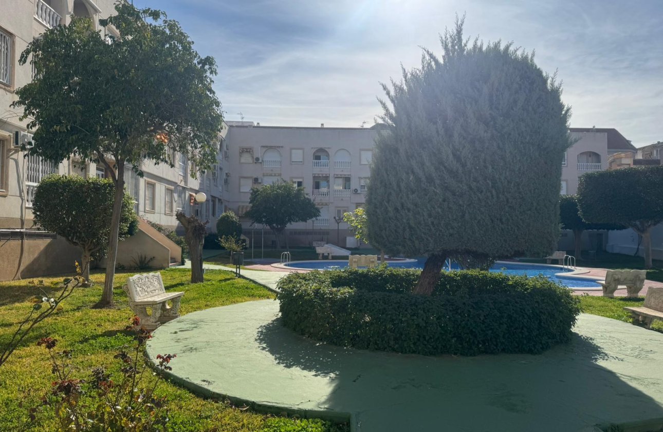 Használt ingatlanok - Apartamento -
Torrevieja - Playa del Acequión