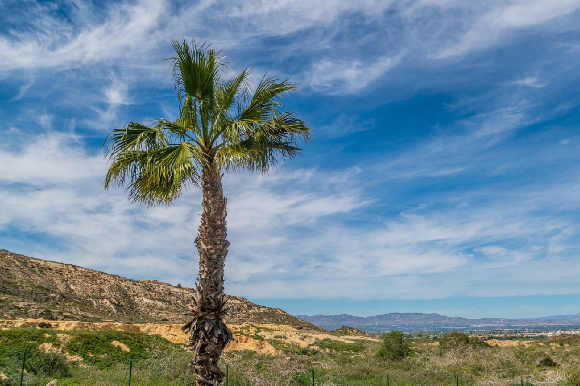 Használt ingatlanok - Apartman / lakás -
Algorfa - Algorfa Centro