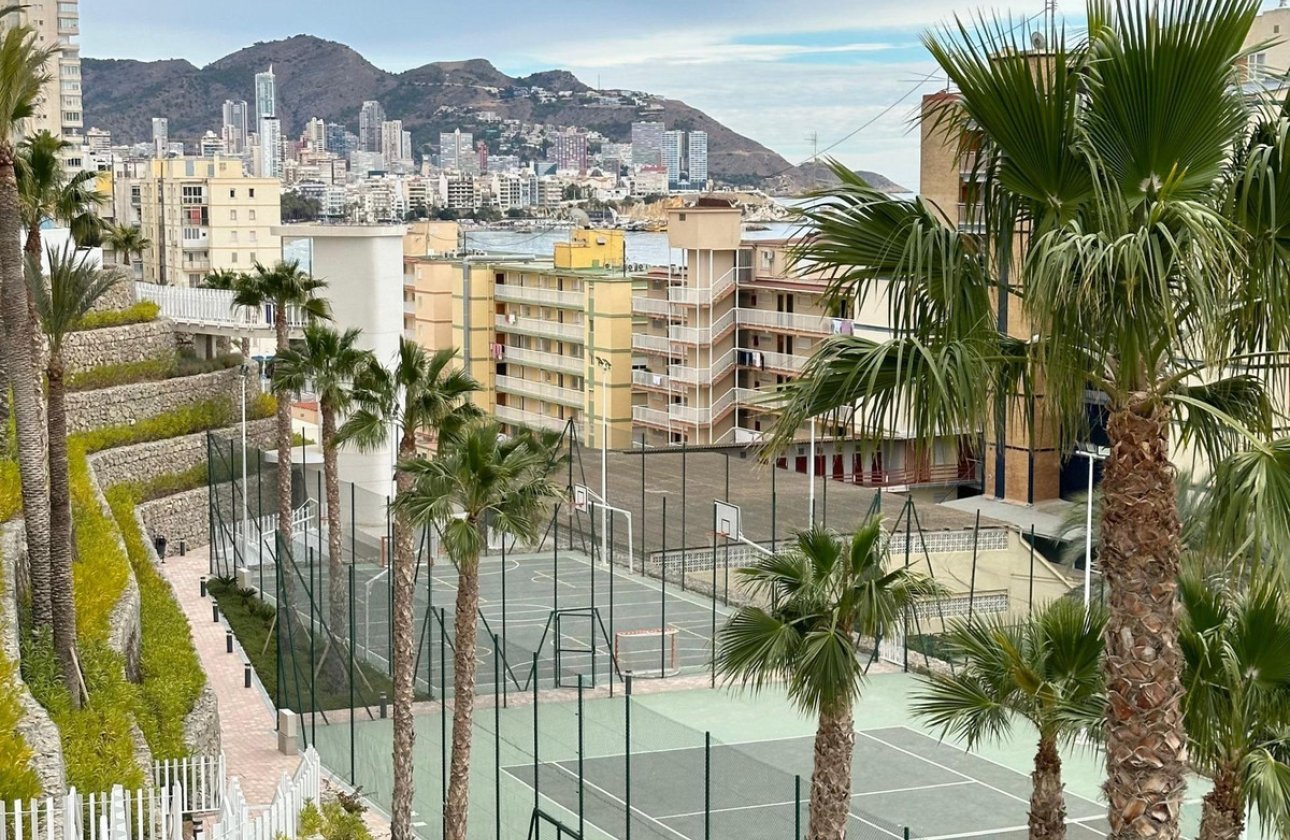 Használt ingatlanok - Apartman / lakás -
Benidorm - Benidorm Centro