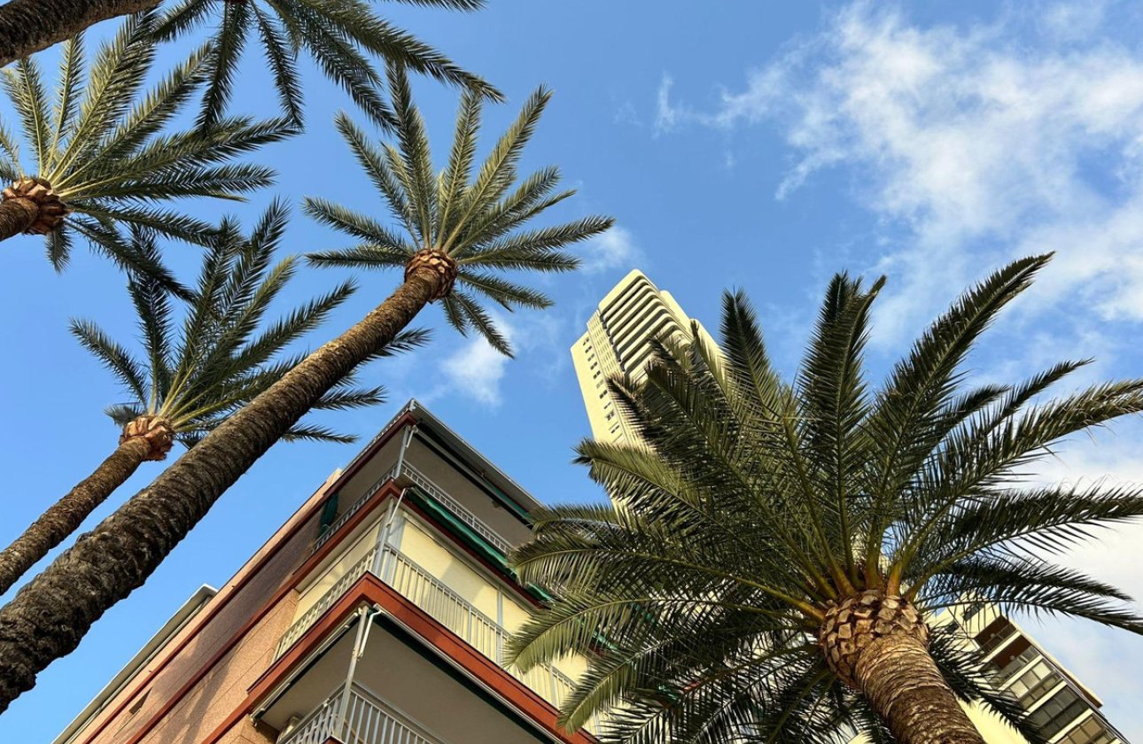 Használt ingatlanok - Apartman / lakás -
Benidorm - Benidorm Centro