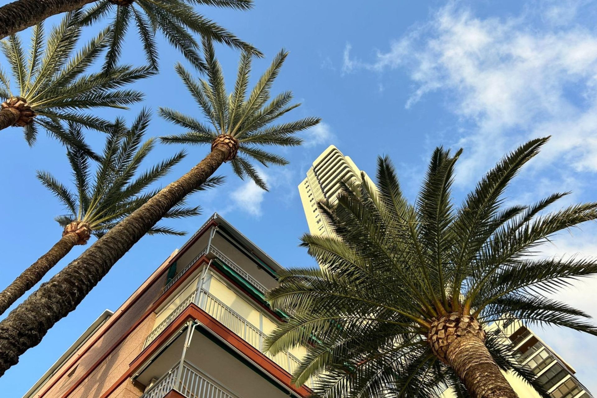 Használt ingatlanok - Apartman / lakás -
Benidorm - Benidorm Centro