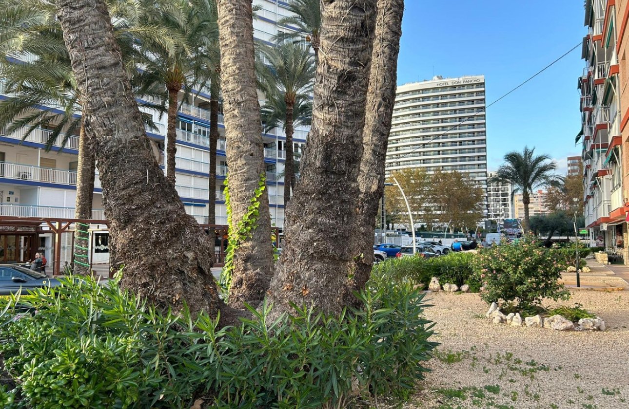Használt ingatlanok - Apartman / lakás -
Benidorm - Benidorm Centro