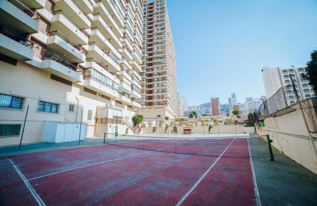 Használt ingatlanok - Apartman / lakás -
Benidorm - Benidorm Centro