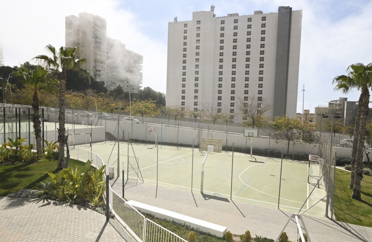 Használt ingatlanok - Apartman / lakás -
Benidorm - Benidorm Centro