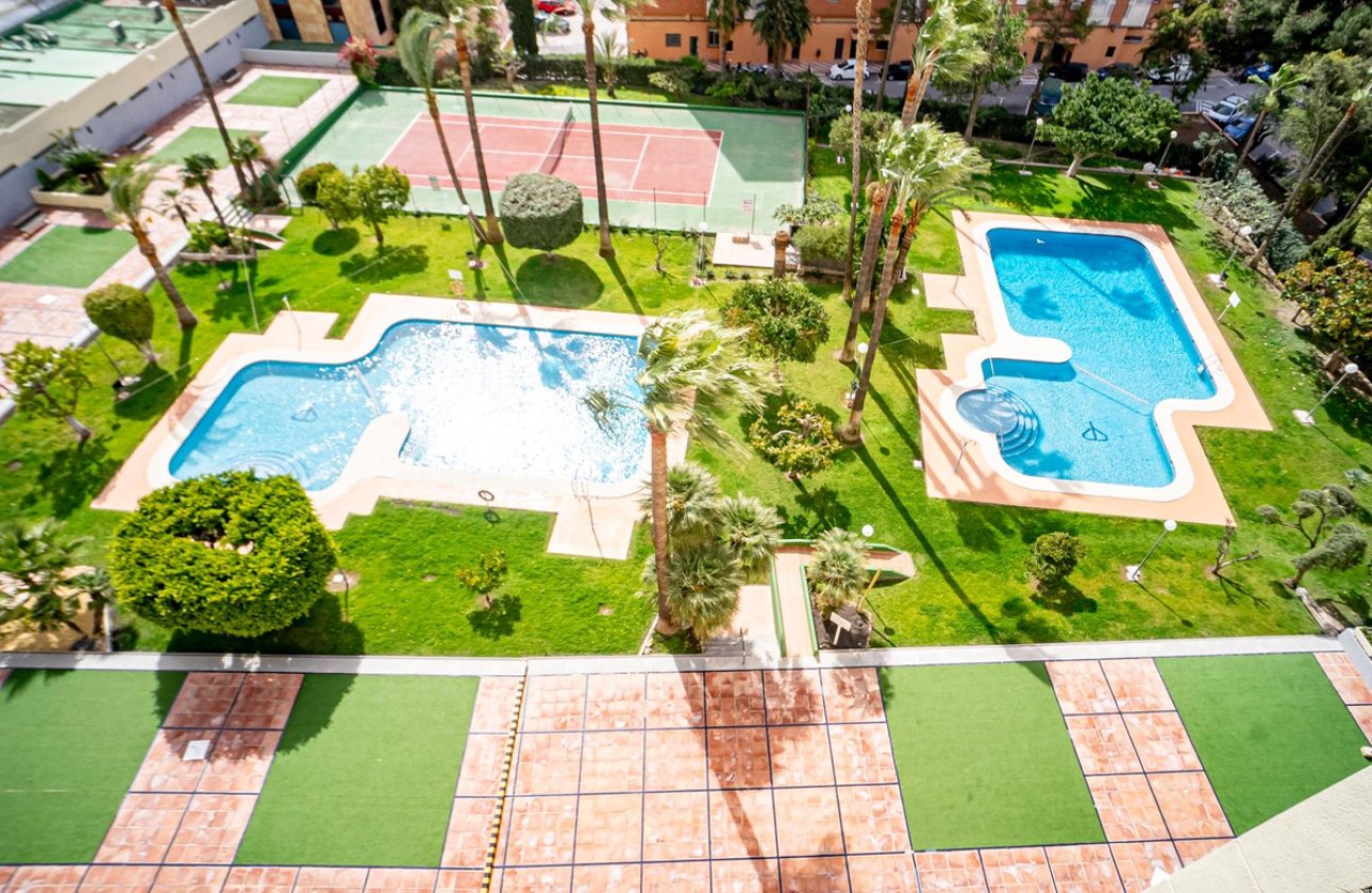 Használt ingatlanok - Apartman / lakás -
Benidorm - Benidorm Centro