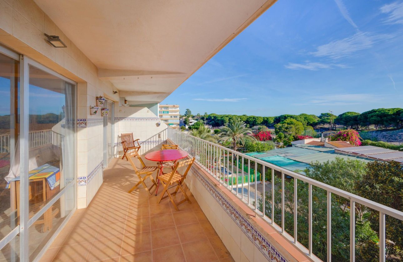 Használt ingatlanok - Apartman / lakás -
Guardamar del Segura - Pinomar