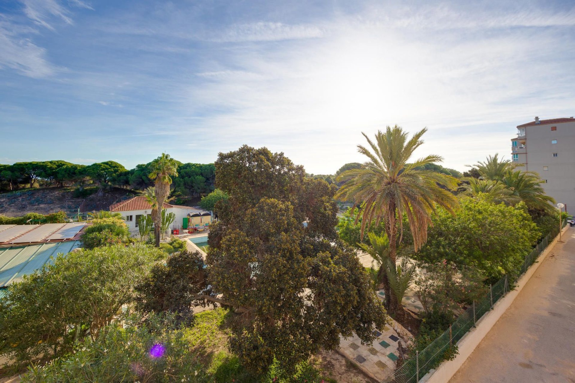 Használt ingatlanok - Apartman / lakás -
Guardamar del Segura - Pinomar