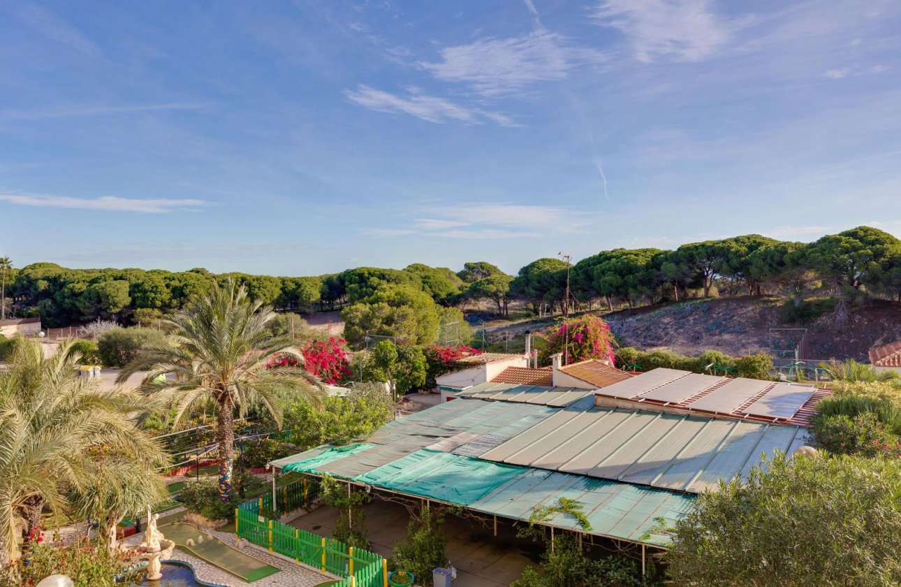 Használt ingatlanok - Apartman / lakás -
Guardamar del Segura - Pinomar