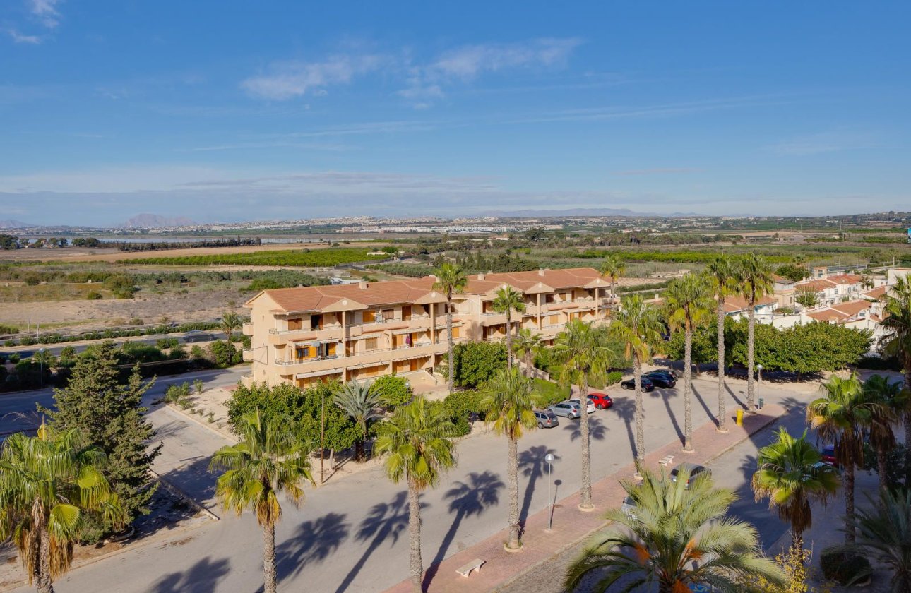 Használt ingatlanok - Apartman / lakás -
Guardamar del Segura - Pinomar