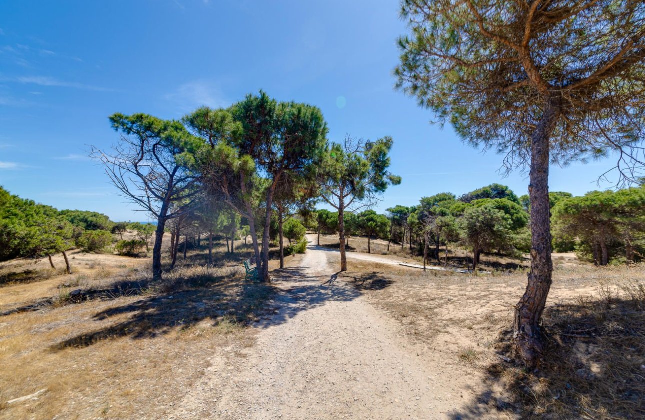 Használt ingatlanok - Apartman / lakás -
Guardamar del Segura - Pinomar