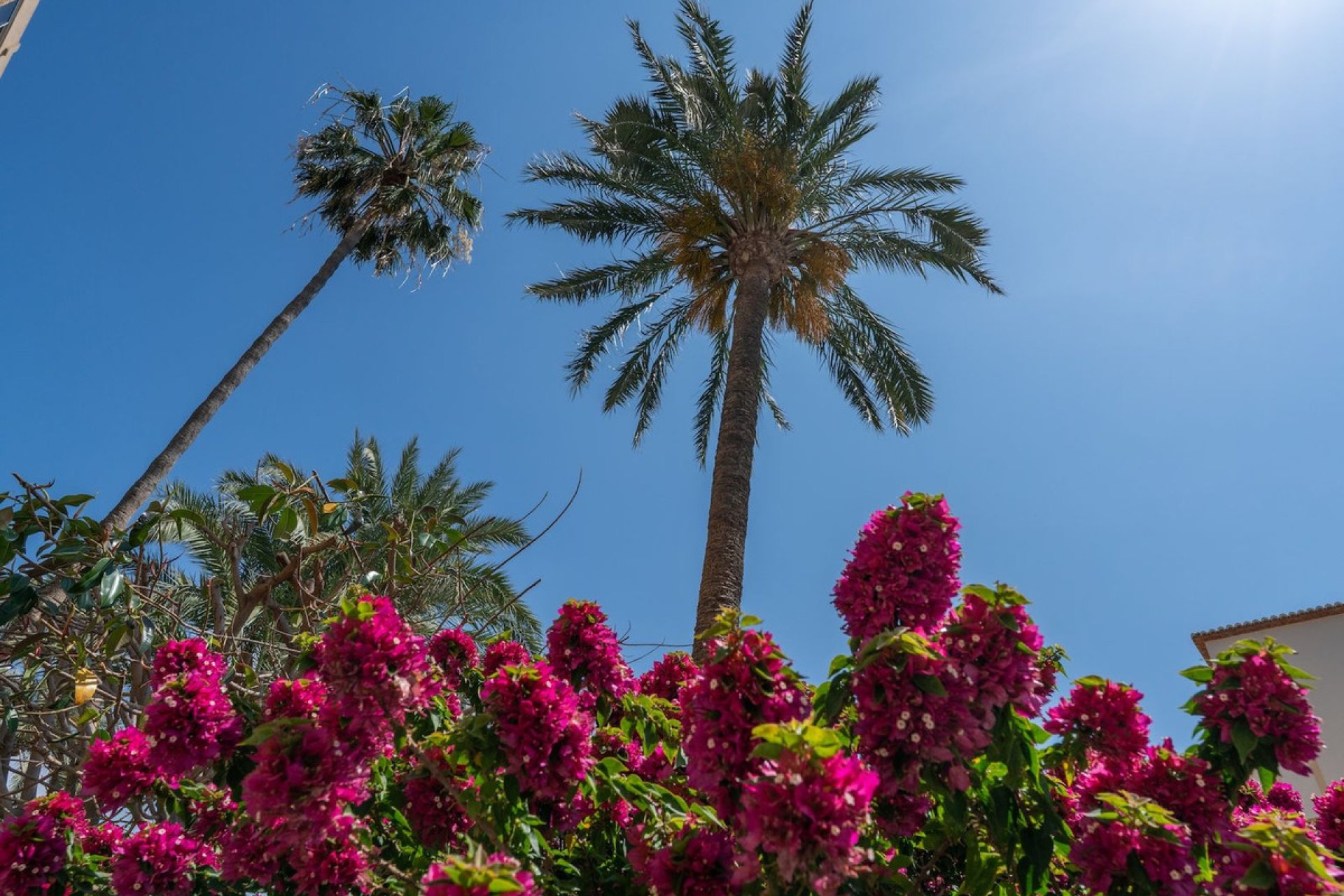 Használt ingatlanok - Apartman / lakás -
Jávea - Xàbia - Jávea - Xàbia Centro