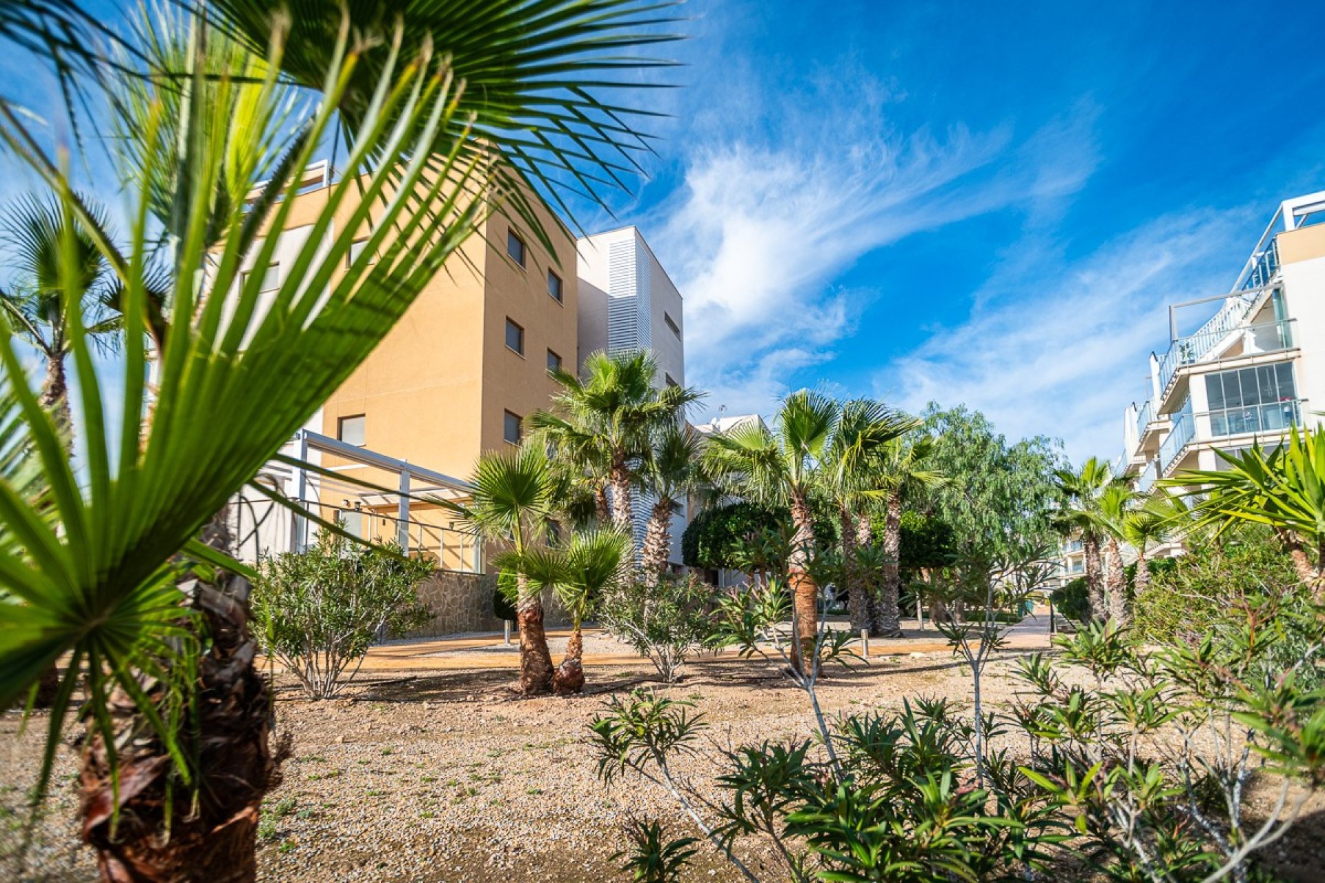 Használt ingatlanok - Apartman / lakás -
Orihuela - Los Dolses