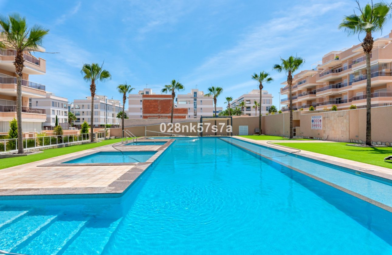 Használt ingatlanok - Apartman / lakás -
Orihuela - Los Dolses