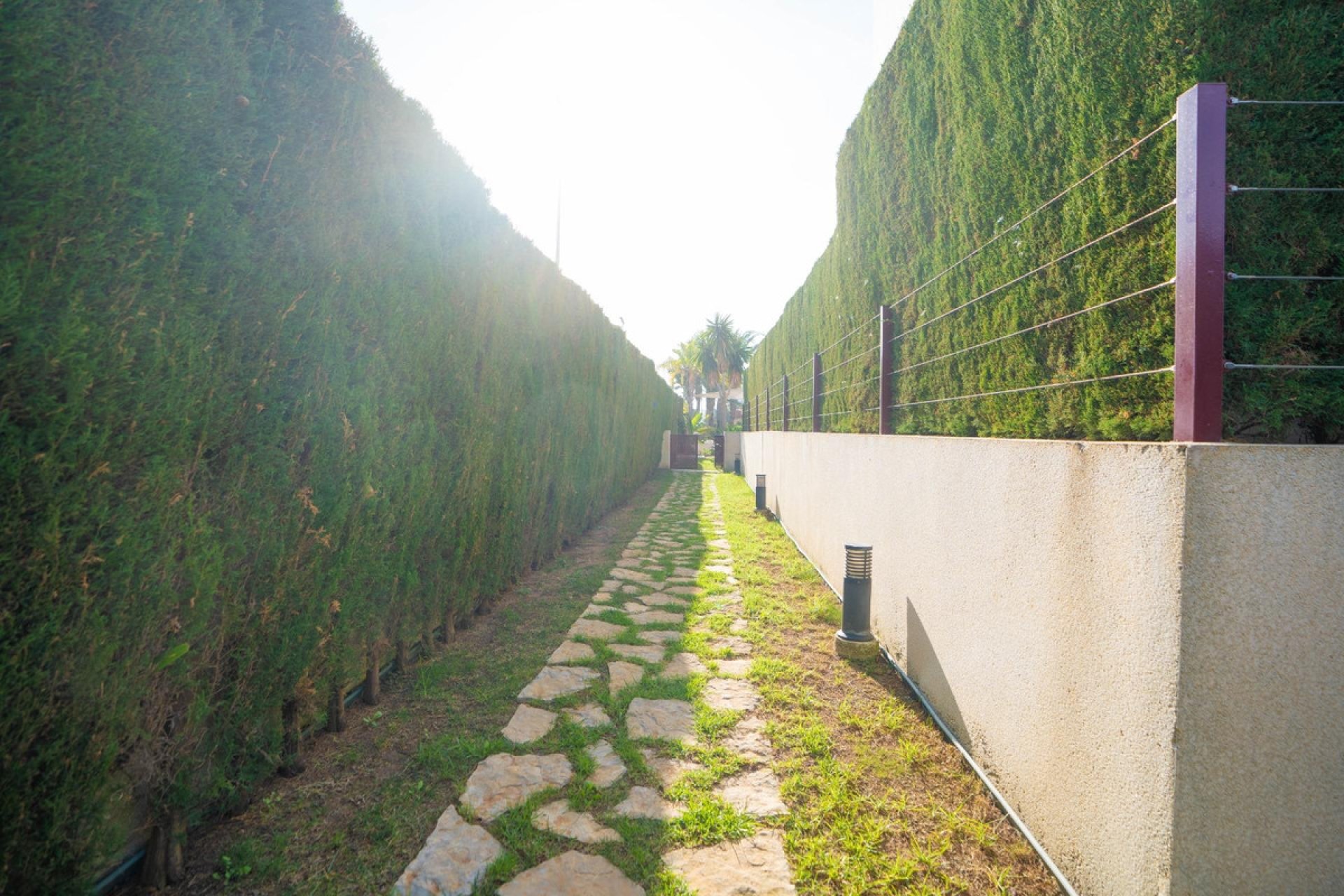 Használt ingatlanok - Apartman / lakás -
Orihuela - Orihuela Costa