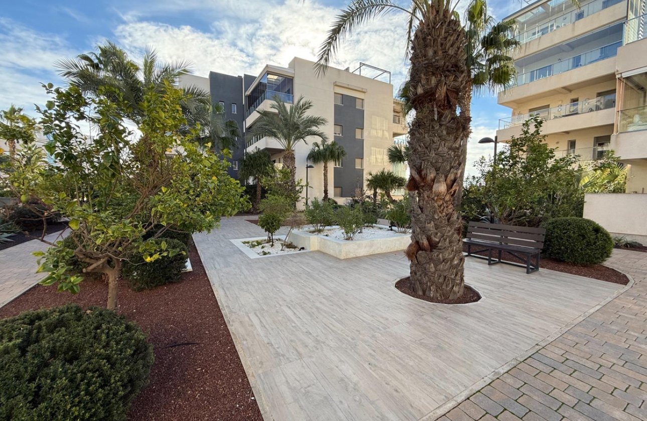 Használt ingatlanok - Apartman / lakás -
Orihuela - Orihuela Costa