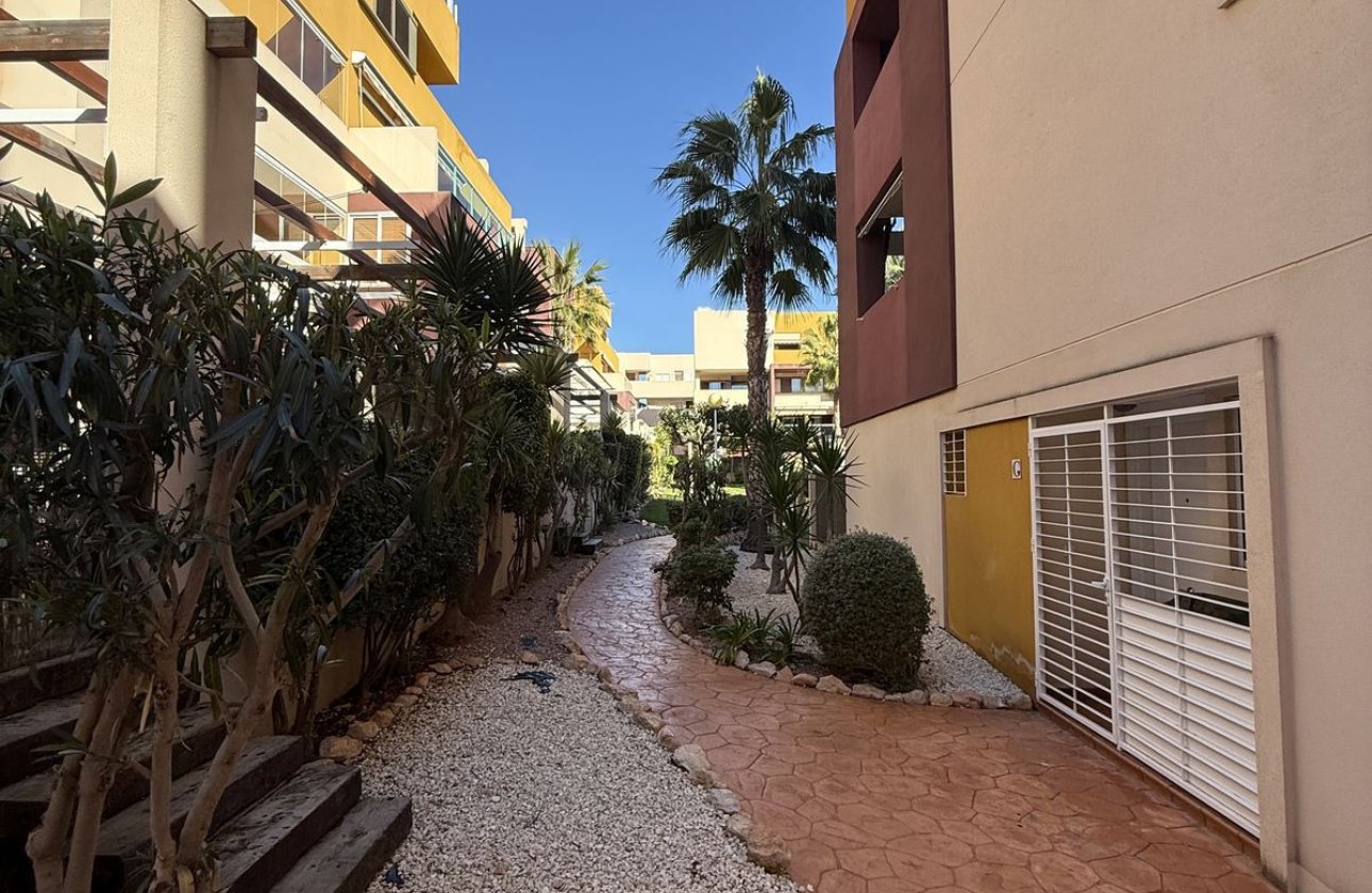 Használt ingatlanok - Apartman / lakás -
Orihuela - Playa Flamenca