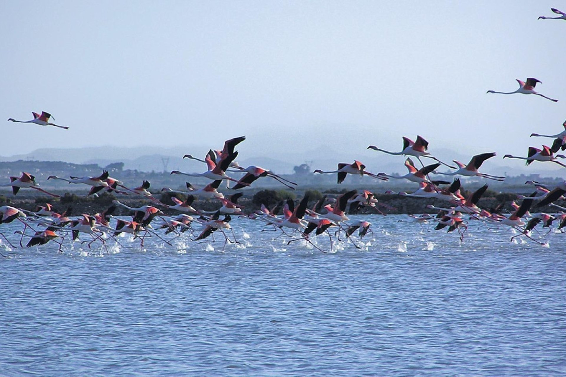 Használt ingatlanok - Apartman / lakás -
Santa Pola - Gran Alacant