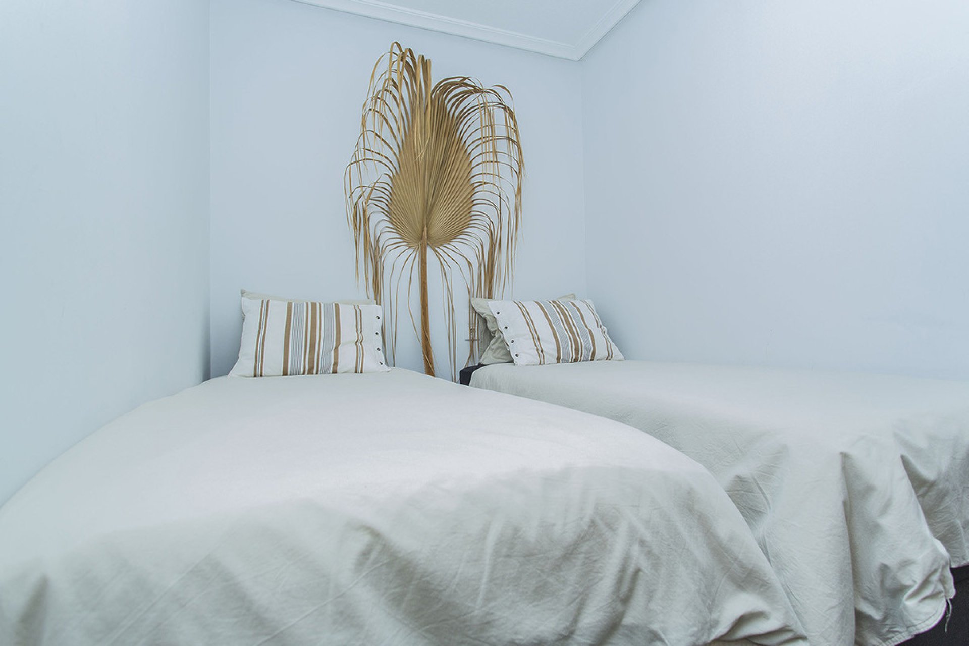 Használt ingatlanok - Apartman / lakás -
Torrevieja - La Mata