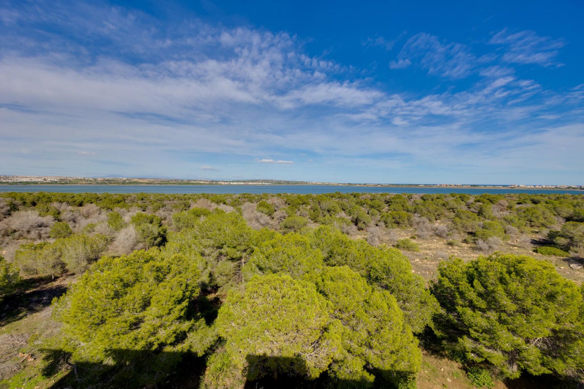 Használt ingatlanok - Apartman / lakás -
Torrevieja - San Luis