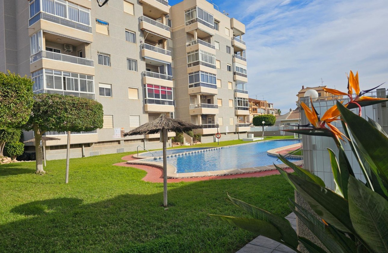 Használt ingatlanok - Apartman / lakás -
Torrevieja - Torrevieja Centro