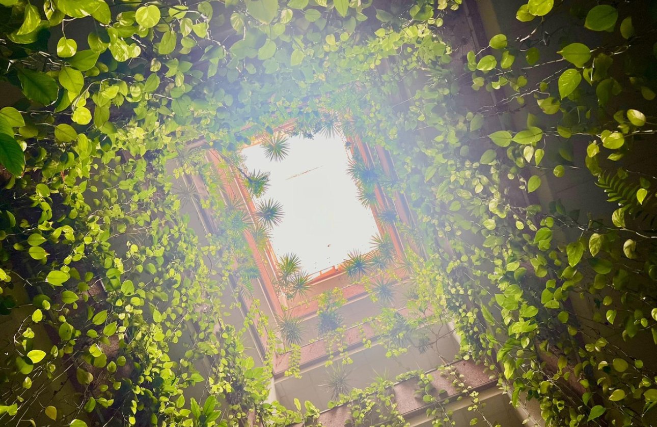 Használt ingatlanok - Apartman / lakás -
Torrevieja - Torrevieja Centro