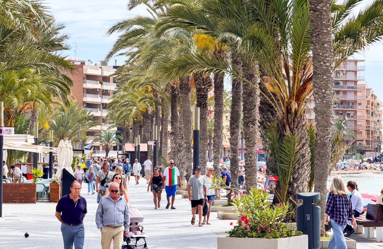 Használt ingatlanok - Apartman / lakás -
Torrevieja - Torrevieja Centro