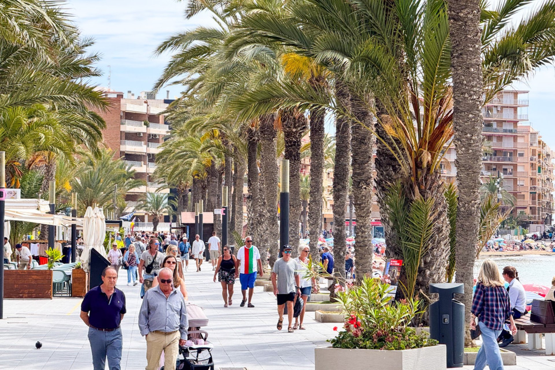 Használt ingatlanok - Apartman / lakás -
Torrevieja - Torrevieja Centro