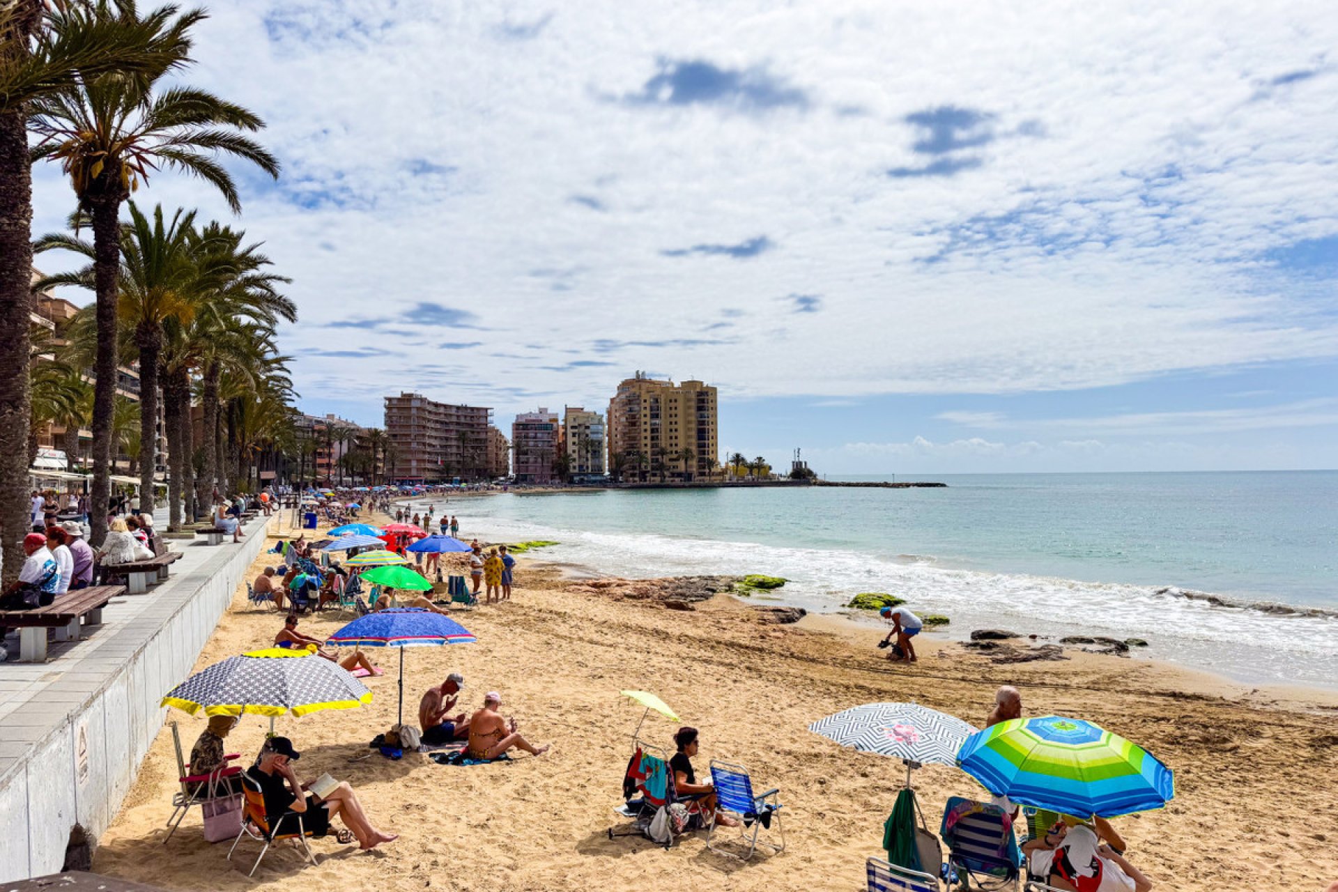 Használt ingatlanok - Apartman / lakás -
Torrevieja - Torrevieja Centro