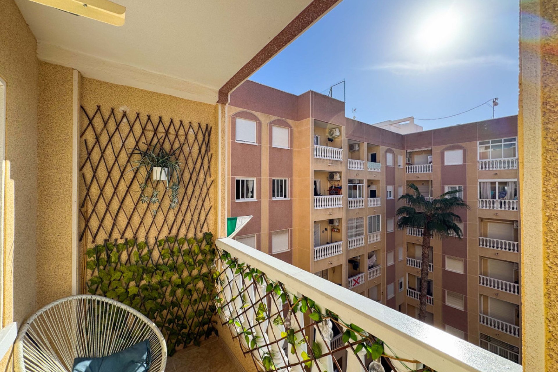 Használt ingatlanok - Apartman / lakás -
Torrevieja - Torrevieja Centro