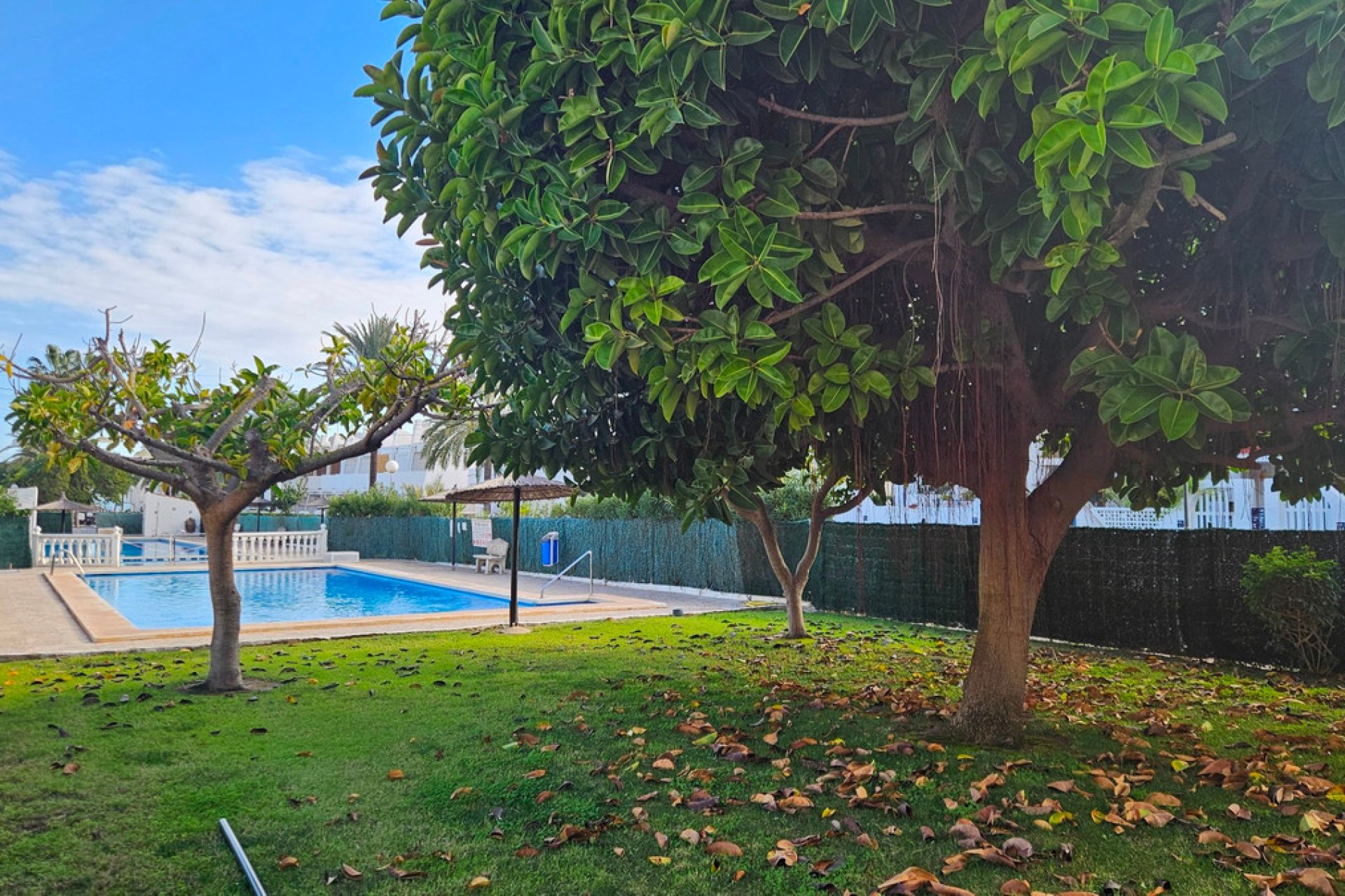 Használt ingatlanok - Apartman / lakás -
Torrevieja - Torrevieja Centro