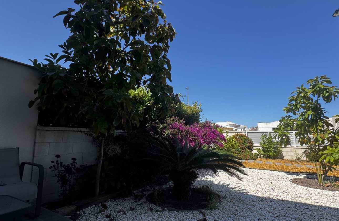 Használt ingatlanok - Apartman / lakás -
Torrevieja - Torrevieja Centro