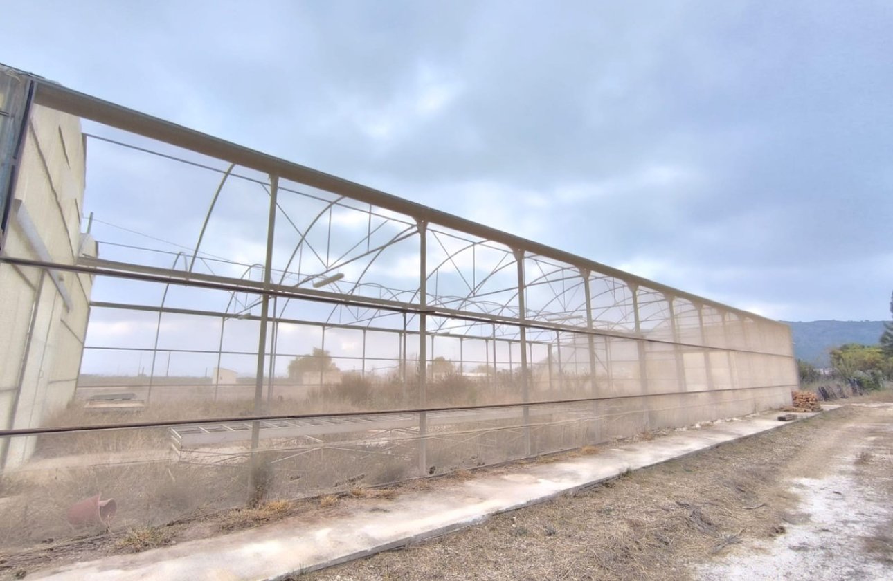 Használt ingatlanok - Commercial property -
Aspe - Aspe Centro