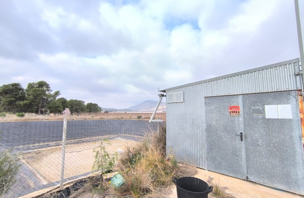 Használt ingatlanok - Commercial property -
Aspe - Aspe Centro