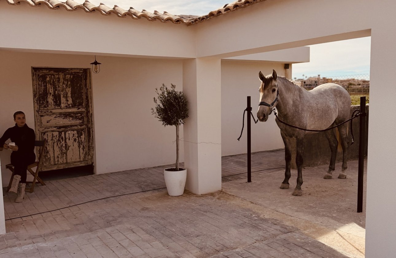 Használt ingatlanok - country house -
Algorfa - Algorfa Centro