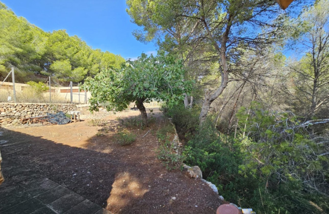 Használt ingatlanok - country house -
Calpe - Calpe Centro