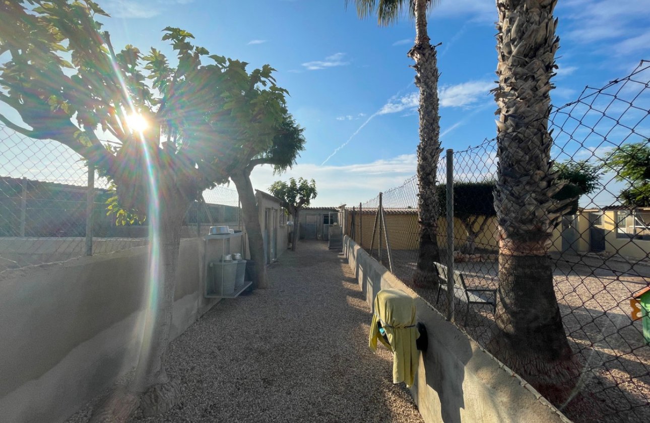 Használt ingatlanok - country house -
Elche - Las Bayas