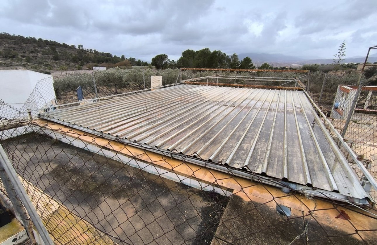 Használt ingatlanok - country house -
La Romana - La Romana Centro