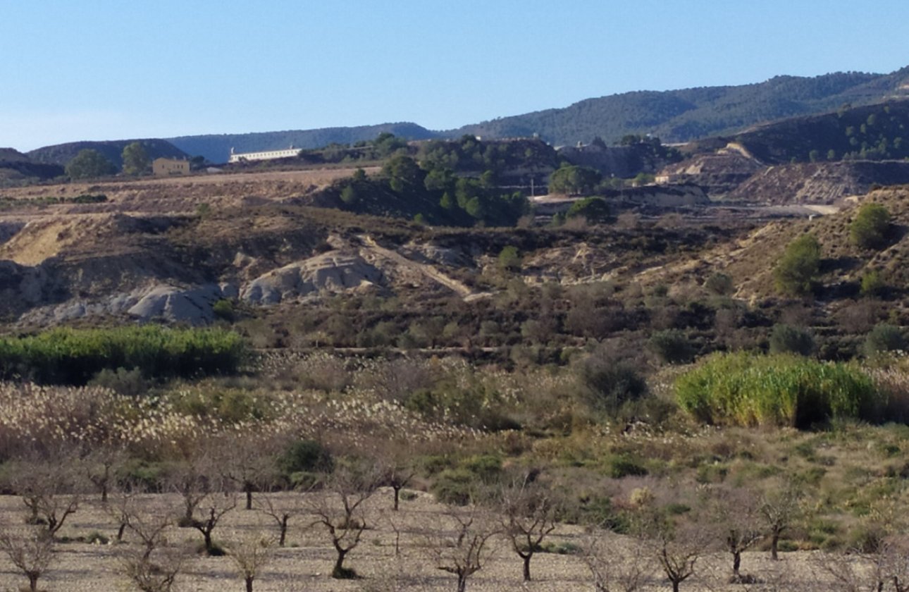 Használt ingatlanok - country house -
Orihuela - Orihuela Centro