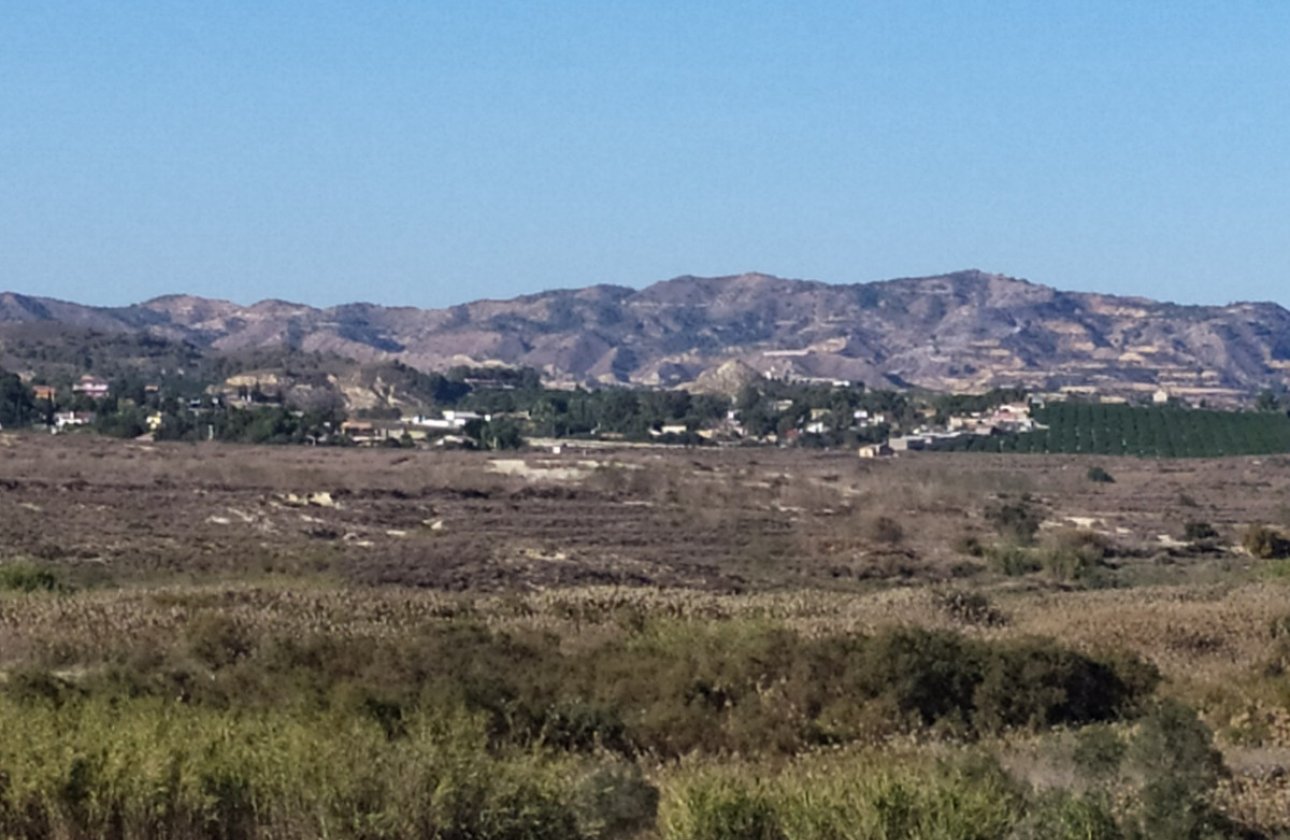 Használt ingatlanok - country house -
Orihuela - Orihuela Centro