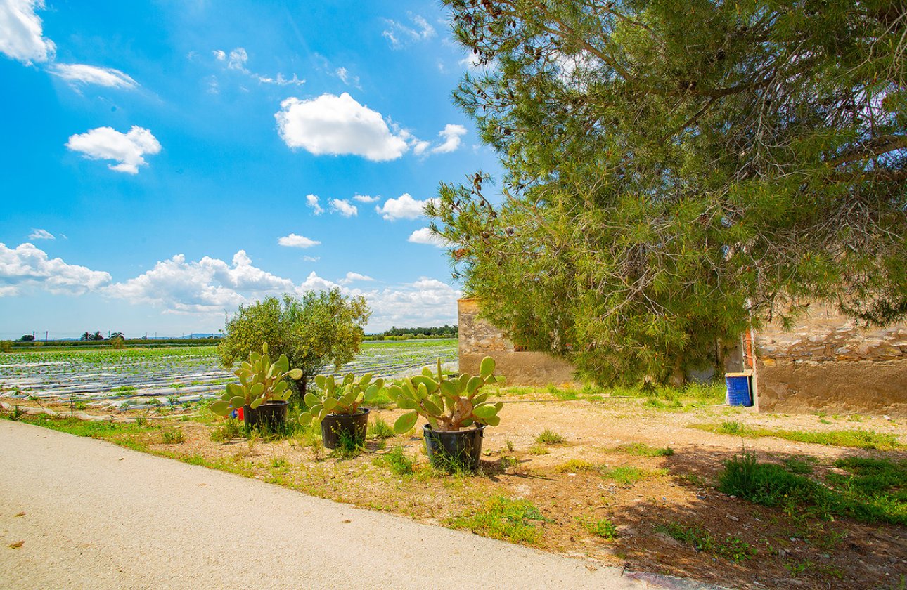 Használt ingatlanok - country house -
San Isidro - San Isidro Centro