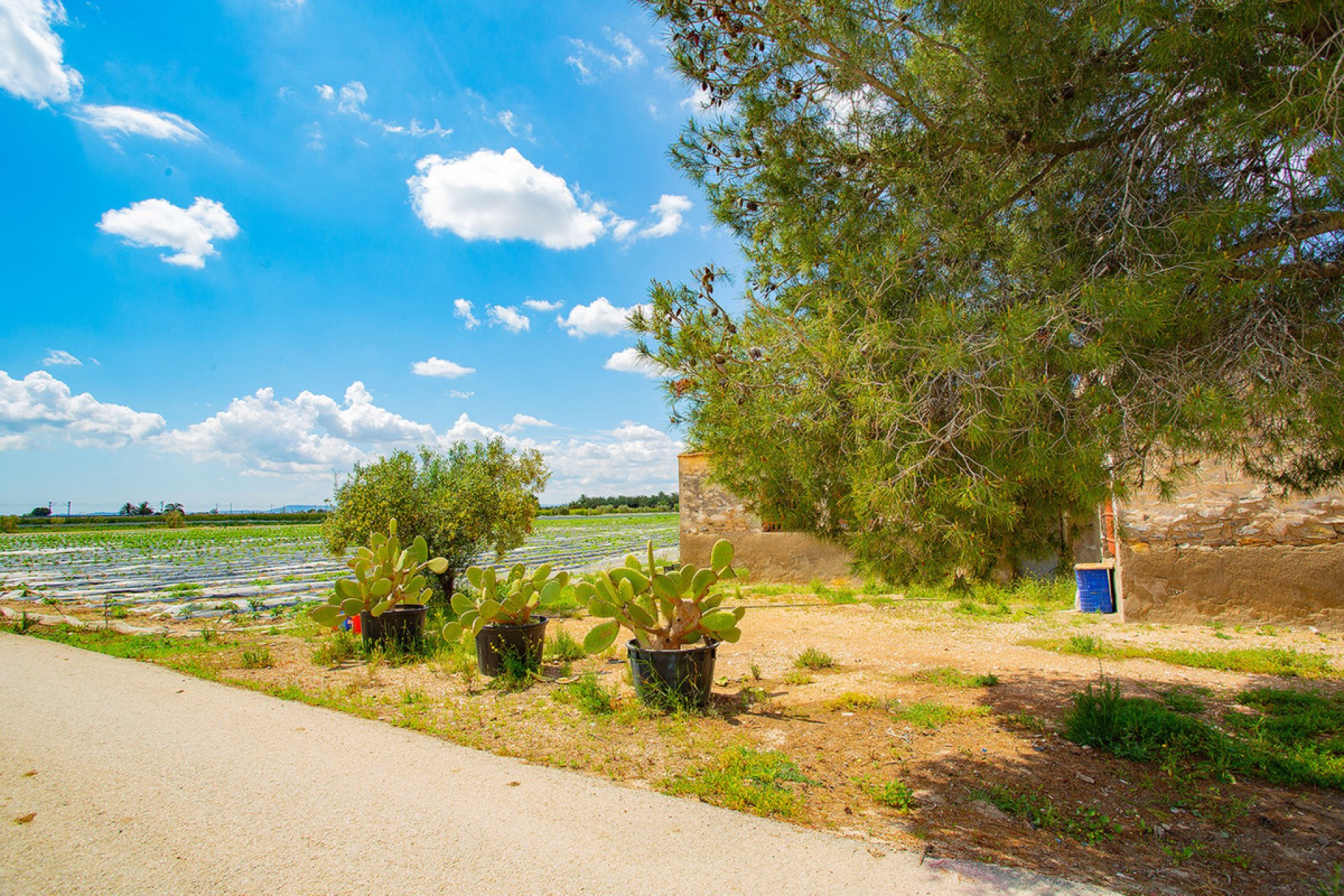 Használt ingatlanok - country house -
San Isidro - San Isidro Centro