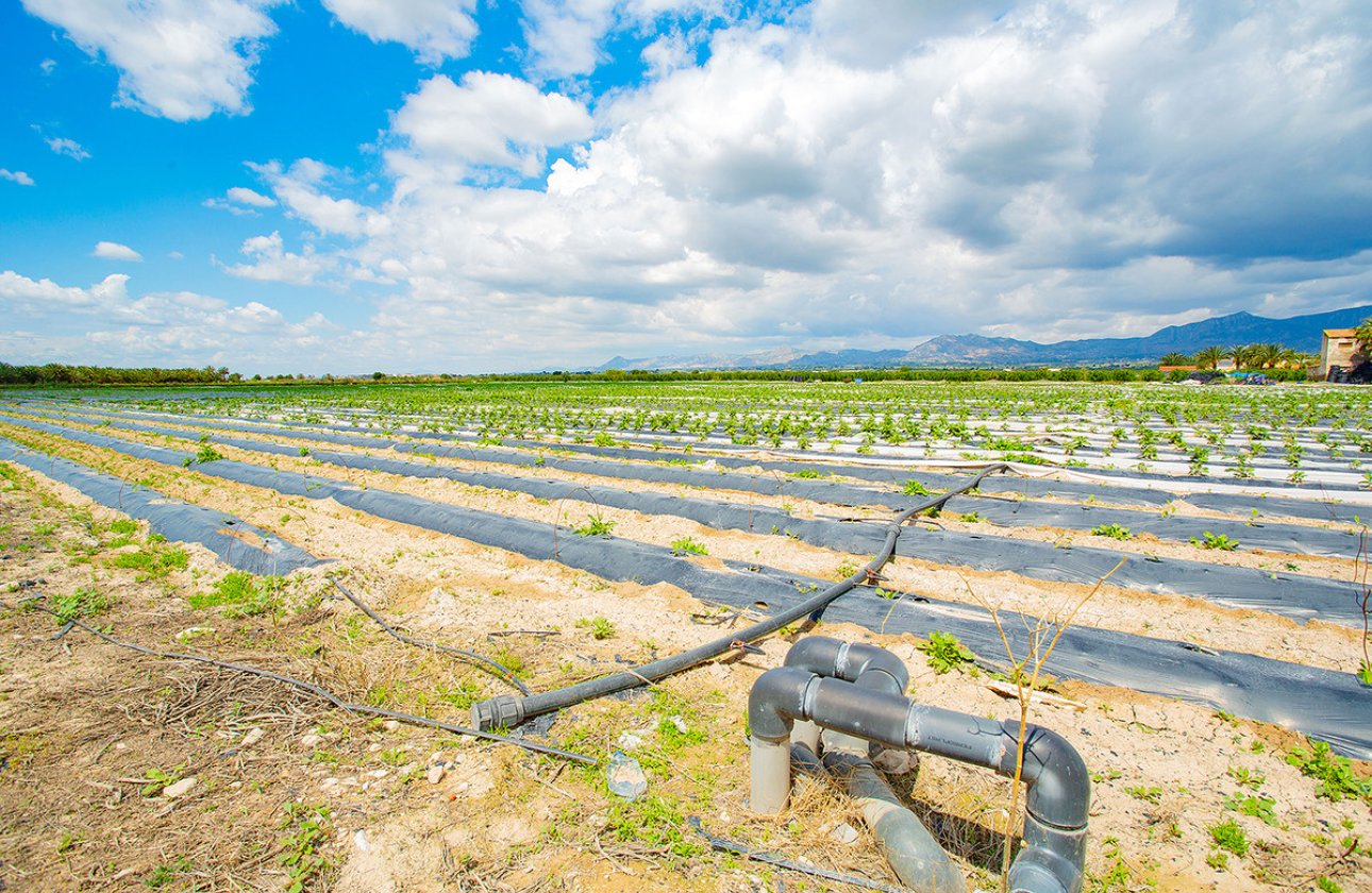 Használt ingatlanok - country house -
San Isidro - San Isidro Centro