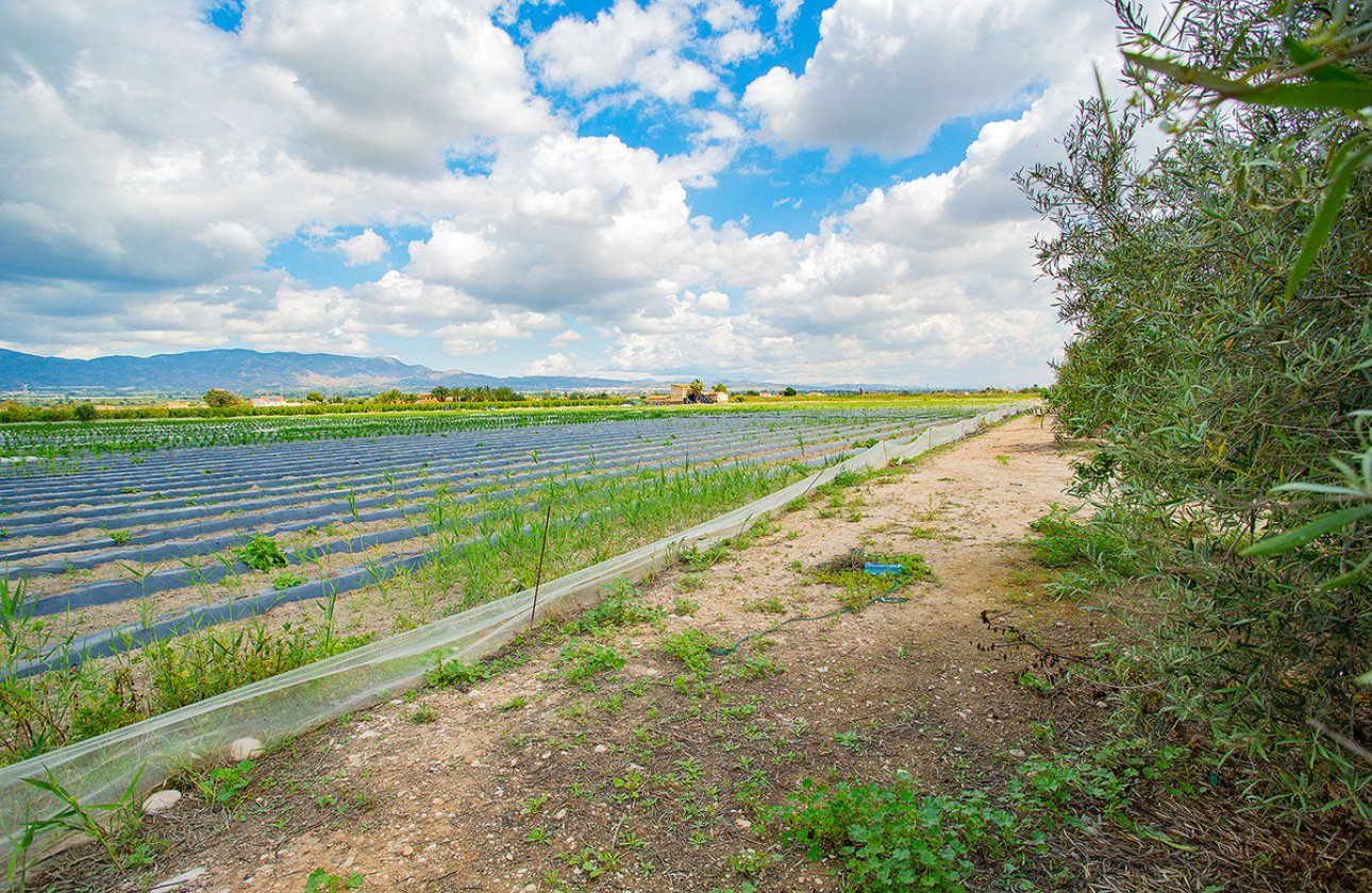 Használt ingatlanok - country house -
San Isidro - San Isidro Centro