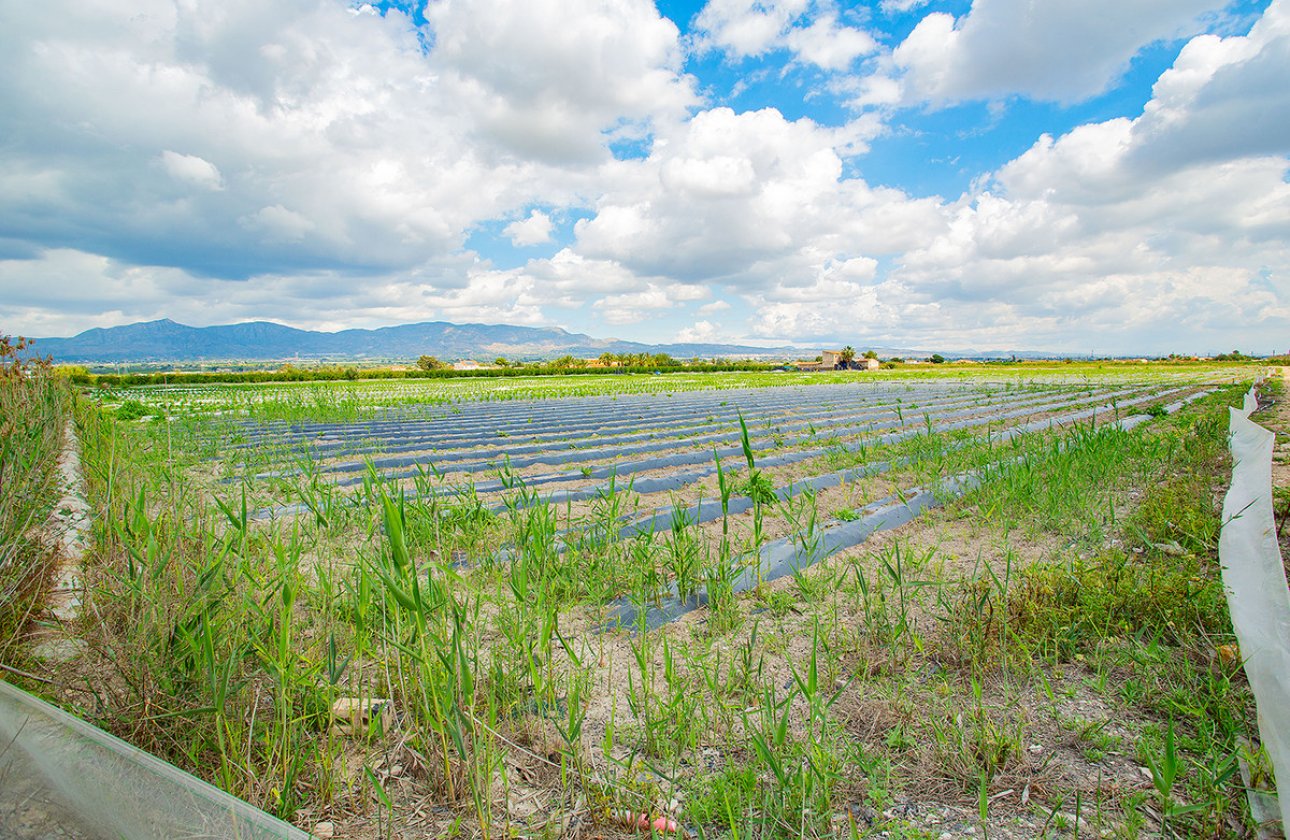 Használt ingatlanok - country house -
San Isidro - San Isidro Centro