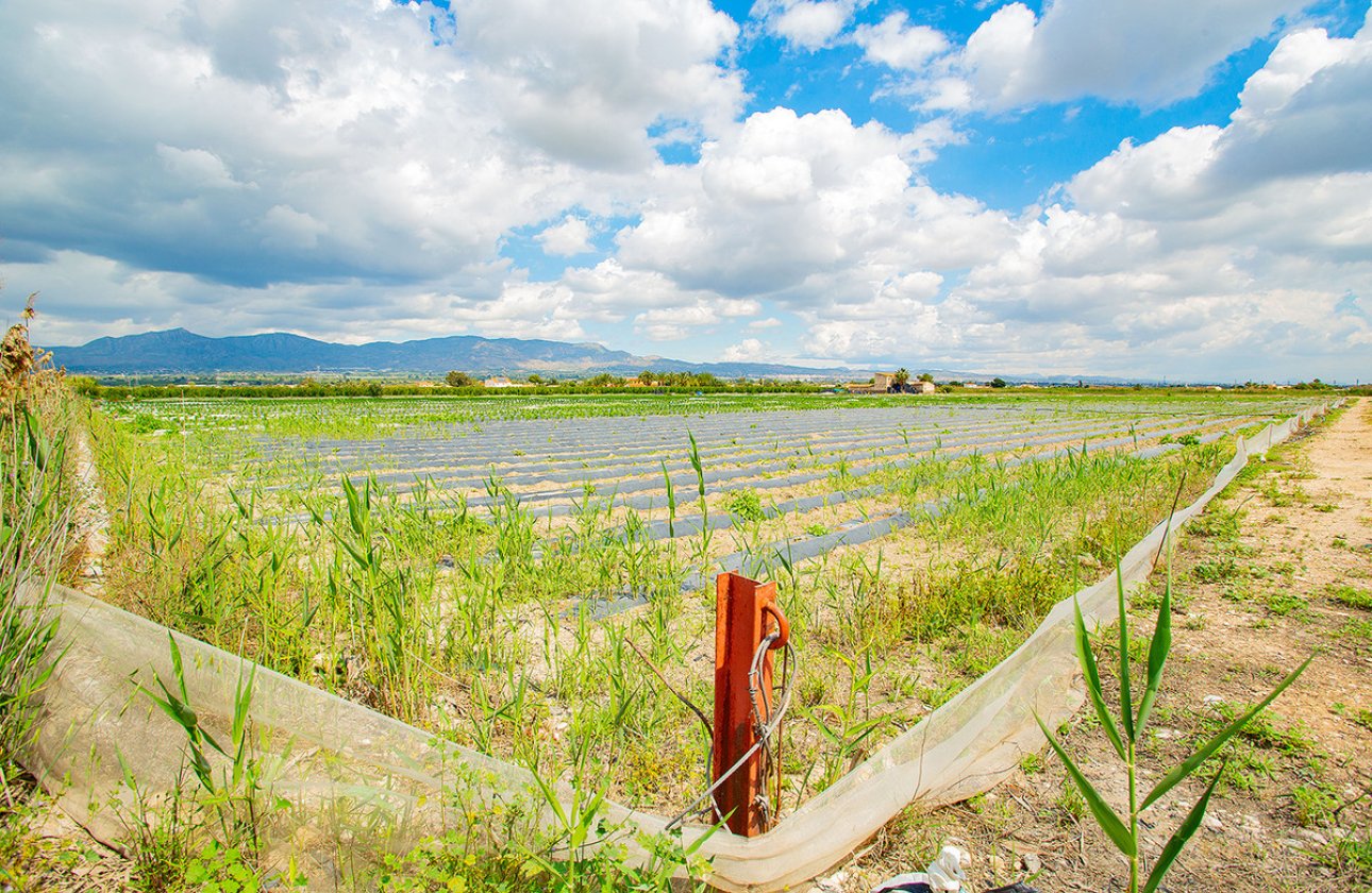 Használt ingatlanok - country house -
San Isidro - San Isidro Centro