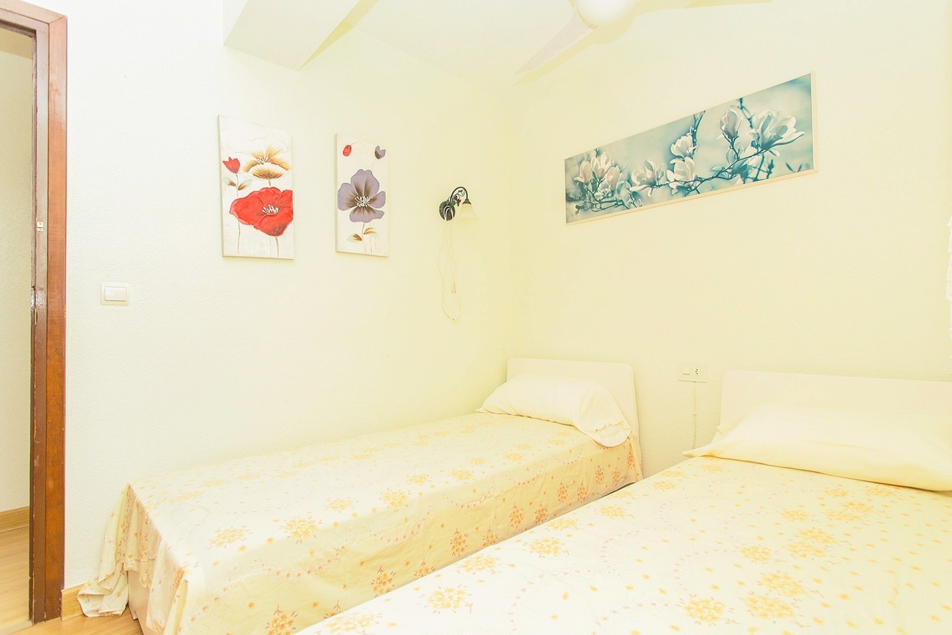 Használt ingatlanok - Flat -
Torrevieja - Playa del Cura