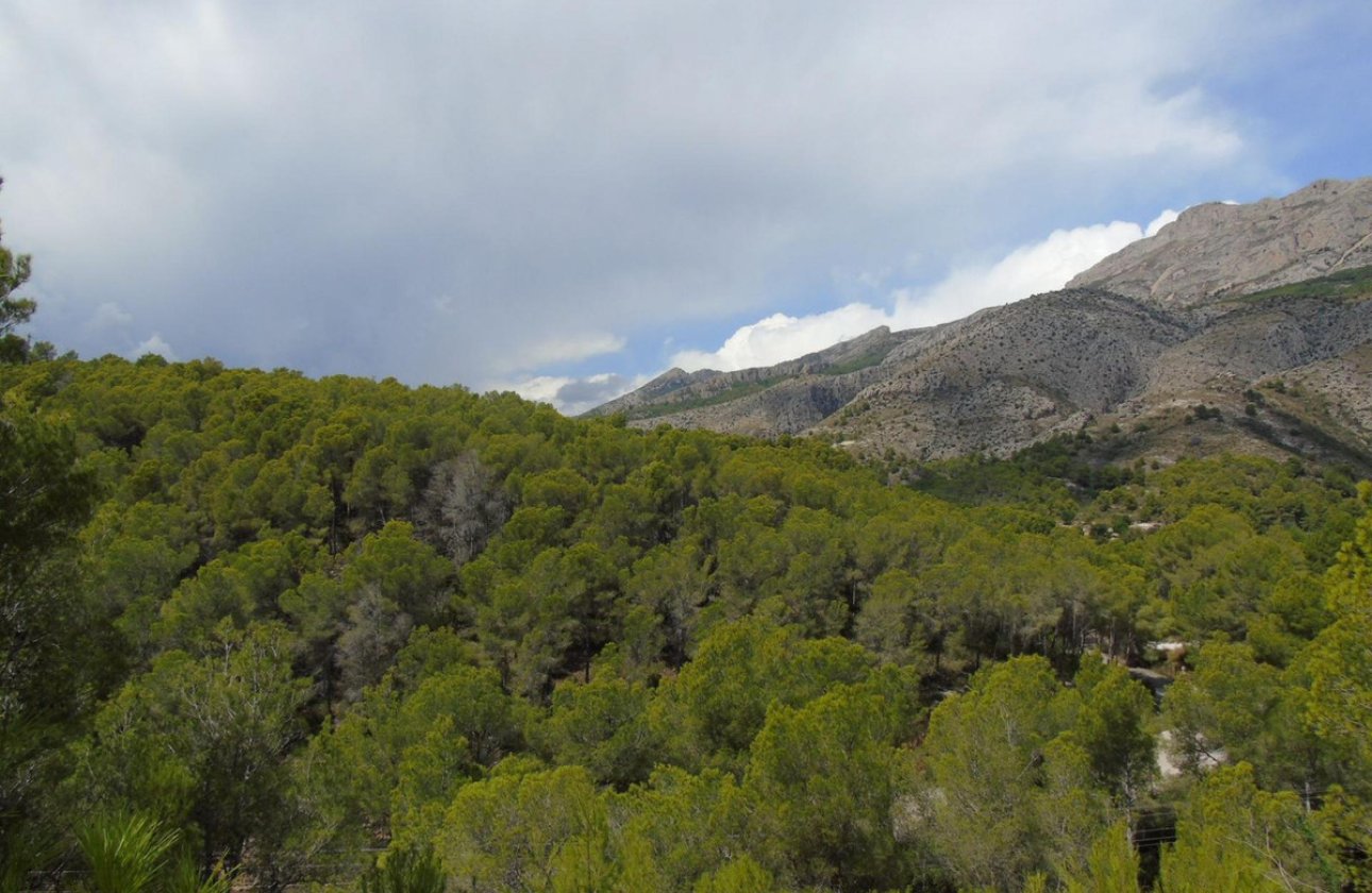 Használt ingatlanok - land -
Altea - Altea Centro