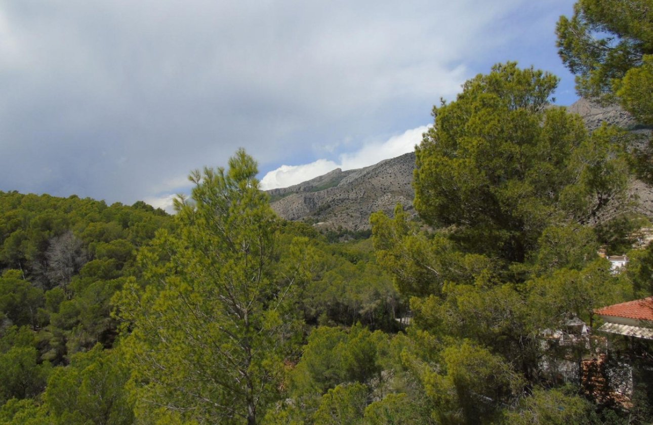 Használt ingatlanok - land -
Altea - Altea Centro